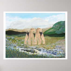 Póster Territorios de Irlanda