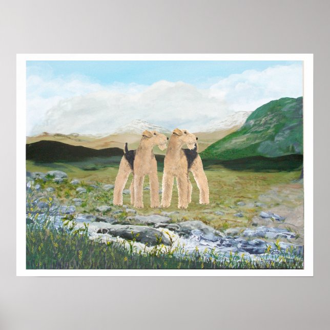 Póster Territorios de Irlanda (Frente)