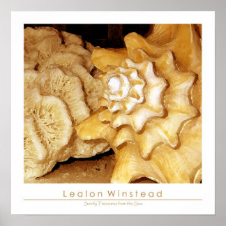 Póster Tesoros arenosos del mar