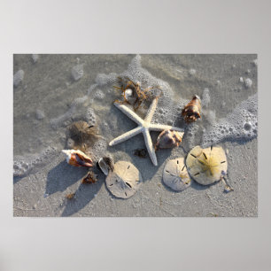 Póster Tesoros de la playa en marea baja