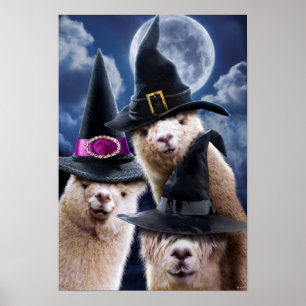 Póster Testigos alpaca