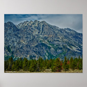 Póster Teton NP 6901