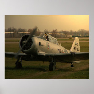 Póster Texan startup