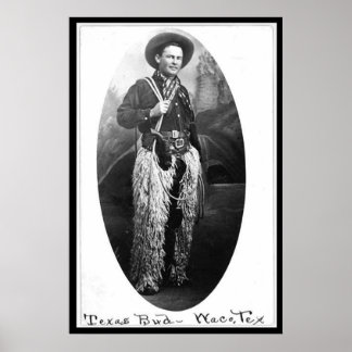 Póster Texas Bud