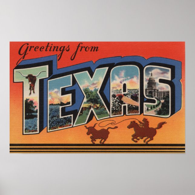 Póster Texas (Cowboy Roping Bull)Large Letter Scenes (Frente)