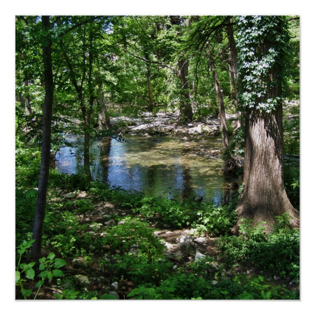 Póster Texas Cypress Creek Wimberley (Anverso)
