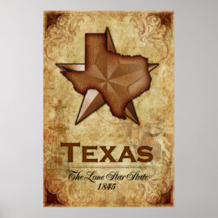 Póster Texas - El solitario Estado Estrella