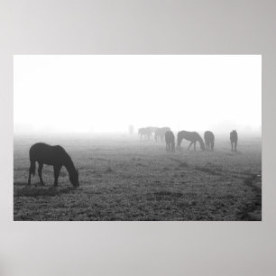 Póster Texas Fog
