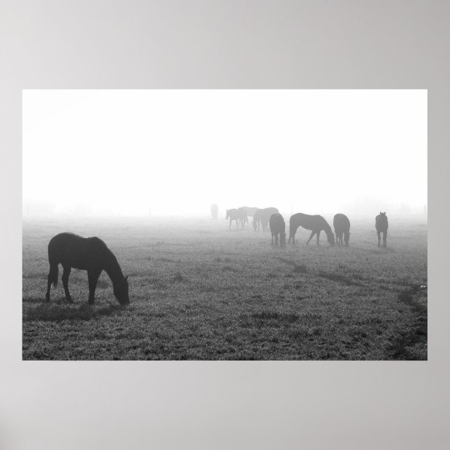 Póster Texas Fog (Frente)