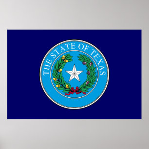 Póster Texas Great Seal