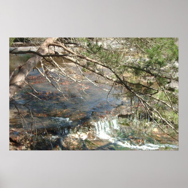 Póster Texas Hill Country número tres (Frente)