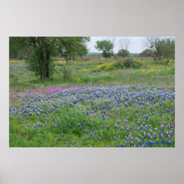 Póster Texas Hill Country Print