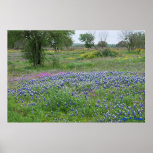 Póster Texas Hill Country Print