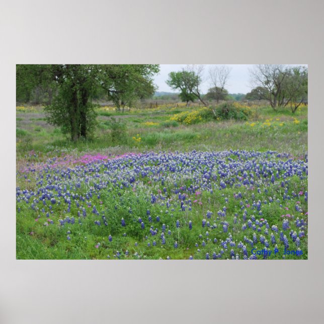 Póster Texas Hill Country Print (Frente)