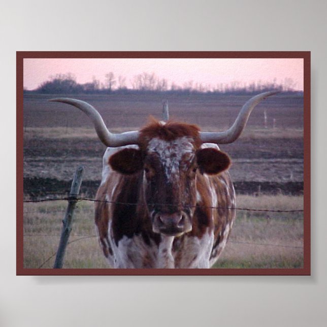 Póster Texas Longhorn (Frente)