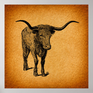 Póster Texas Longhorn Bull Rust Vintage Western Art