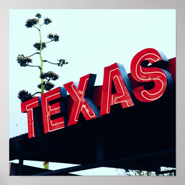 Póster Texas Red Neon Lights USA America (Frente)