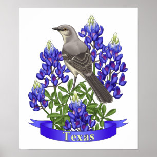 Póster Texas State Mockingbird & Bluebonnet Flower