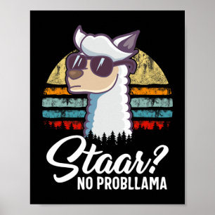 Póster Texas State Test Day Llama Alpaca Para Estudiantes
