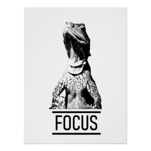 Póster Texto motivacional de enfoque   Lizard