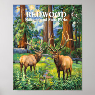 Póster Texto personalizado Elk Redwood California Bosque