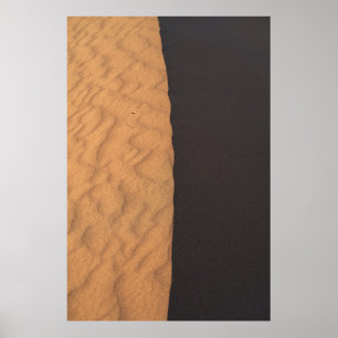 Póster Textos florales en blanco y negro