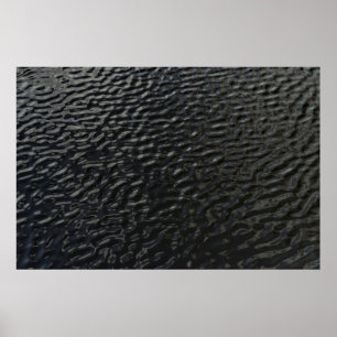 Póster Textos florales en blanco y negro