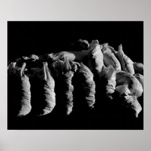 Póster Textura abstracta Black White Sacks Art Photograph