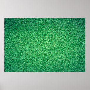 Póster Textura de césped verde de campo