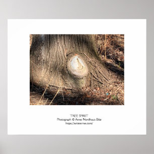 Póster Textura de corteza de árbol Knothole grande