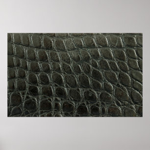 Póster Textura de cuero de caimán negro, cierre