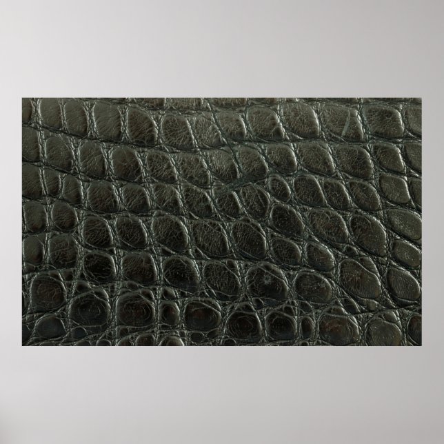 Póster Textura de cuero de caimán negro, cierre (Frente)