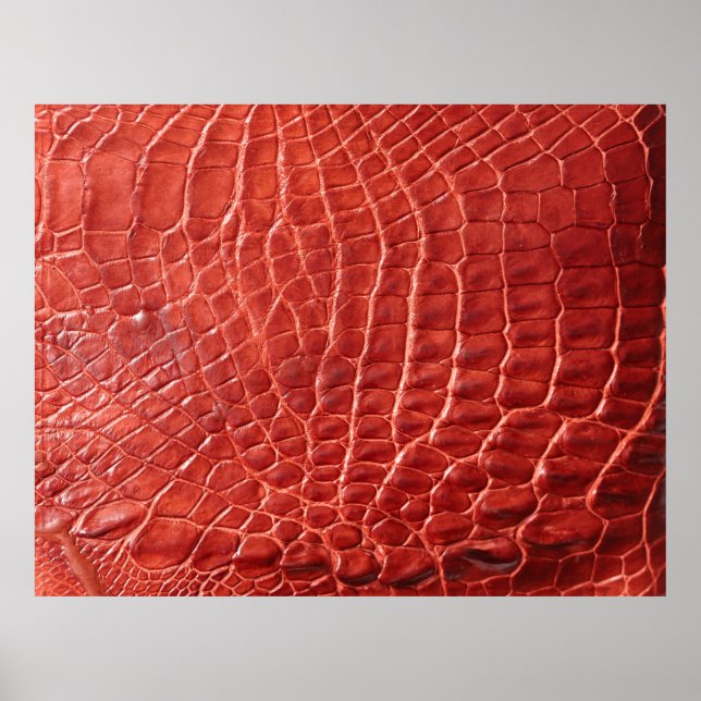Póster Textura de cuero de cocodrilo (Frente)