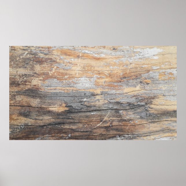 Póster textura de fondo antiguo bello treeabstracto, bac (Frente)