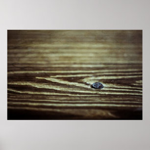 Póster Textura de grano de madera de Shirley Taylor