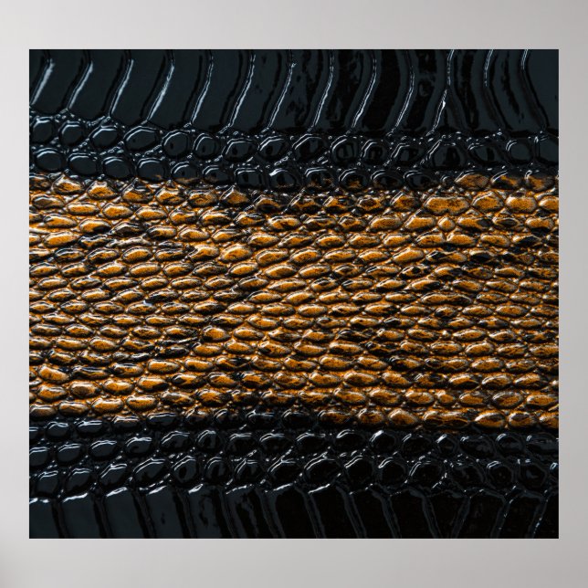Póster Textura de la piel de serpiente negra de primer pl (Frente)
