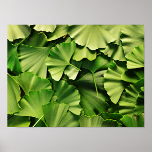 Póster textura de la planta de la naturaleza de la hoja