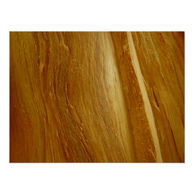 Póster Textura de madera falsa de pino II (Anverso)