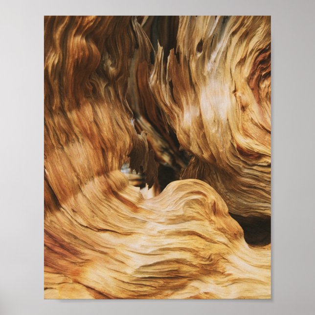 Póster textura de patrón de madera antigua (Frente)