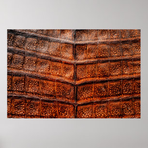 Póster Textura de piel de serpiente sin foco. Rept tropic