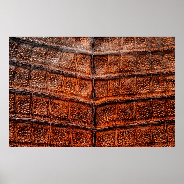 Póster Textura de piel de serpiente sin foco. Rept tropic (Frente)