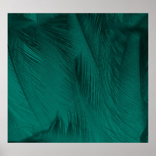 Póster Textura de plumas de color verde oscuro