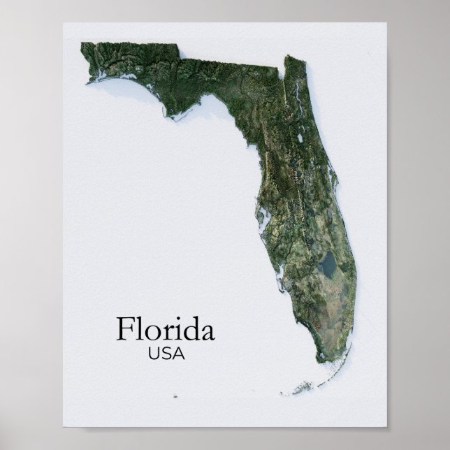 Póster Textura del mapa de la naturaleza de Florida Relie (Frente)