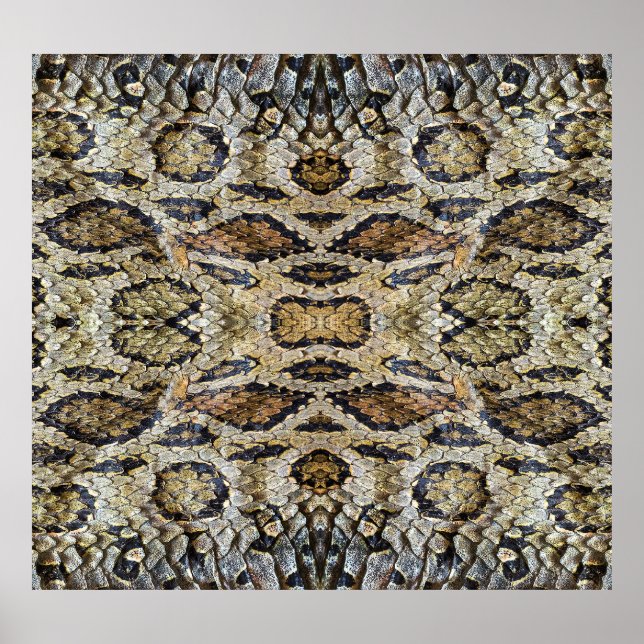Póster Textura del patrón de la piel de serpiente (Frente)