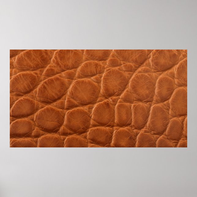Póster Textura real de cuero de caimán marrón marrón marr (Frente)