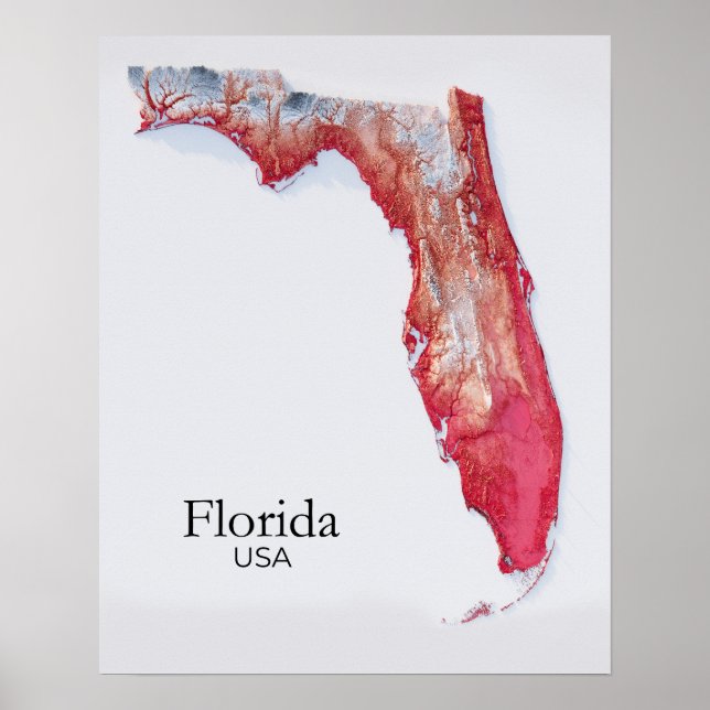 Póster Textura roja del mapa de ayuda de Florida (Frente)