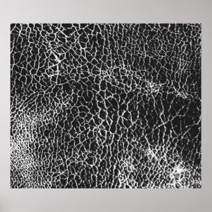 Póster Textura superficial angustiada de cocodrilo o serp