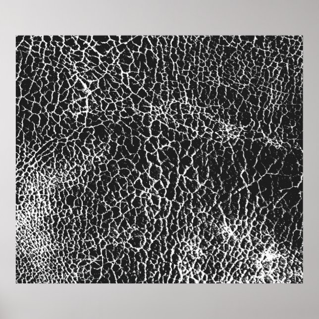 Póster Textura superficial angustiada de cocodrilo o serp (Frente)