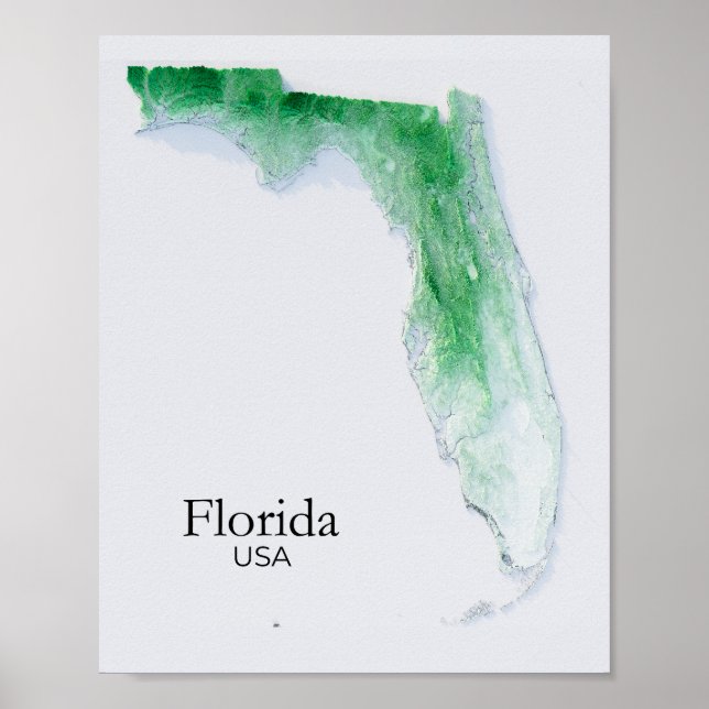 Póster Textura verde del mapa de ayuda de Florida (Frente)