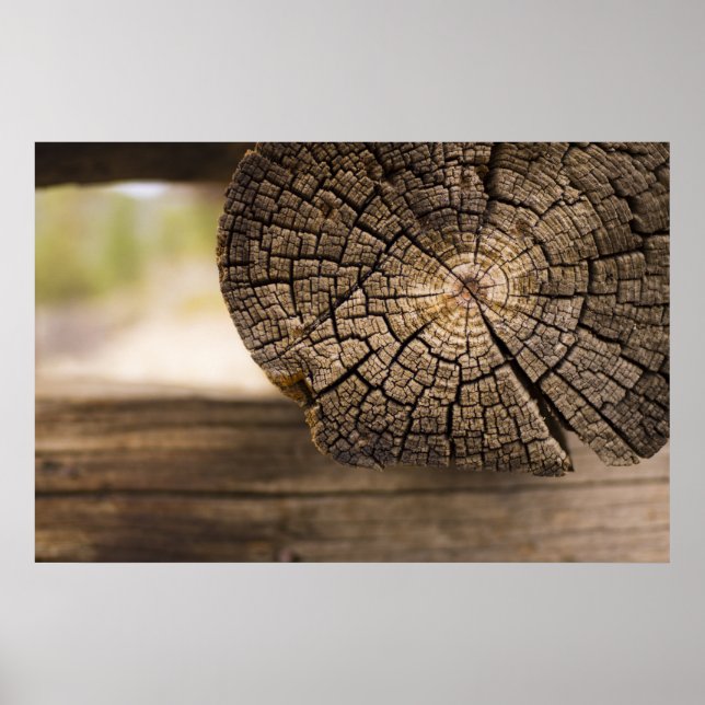 Póster Textura vieja de cabina (Frente)